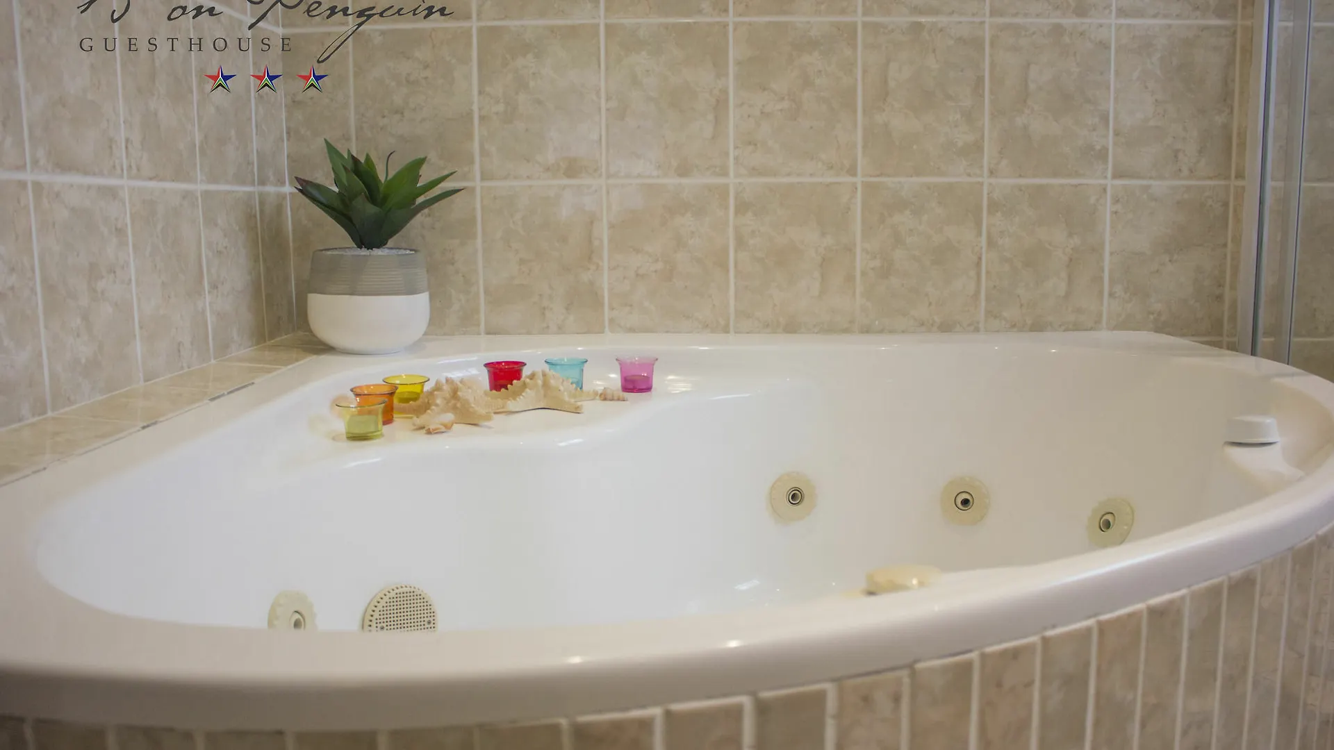 ***  15 On Penguin Guest House Cape Town South Africa